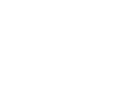 “MSI”