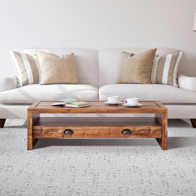 patterned carpet in a bright Fredericksburg VA living room